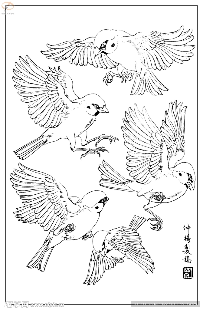 白描鸟