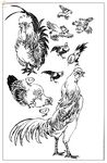 白描鸟