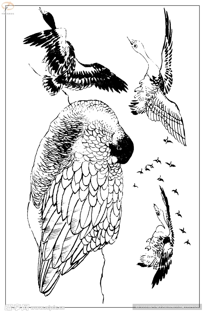 白描鸟