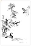 白描鸟