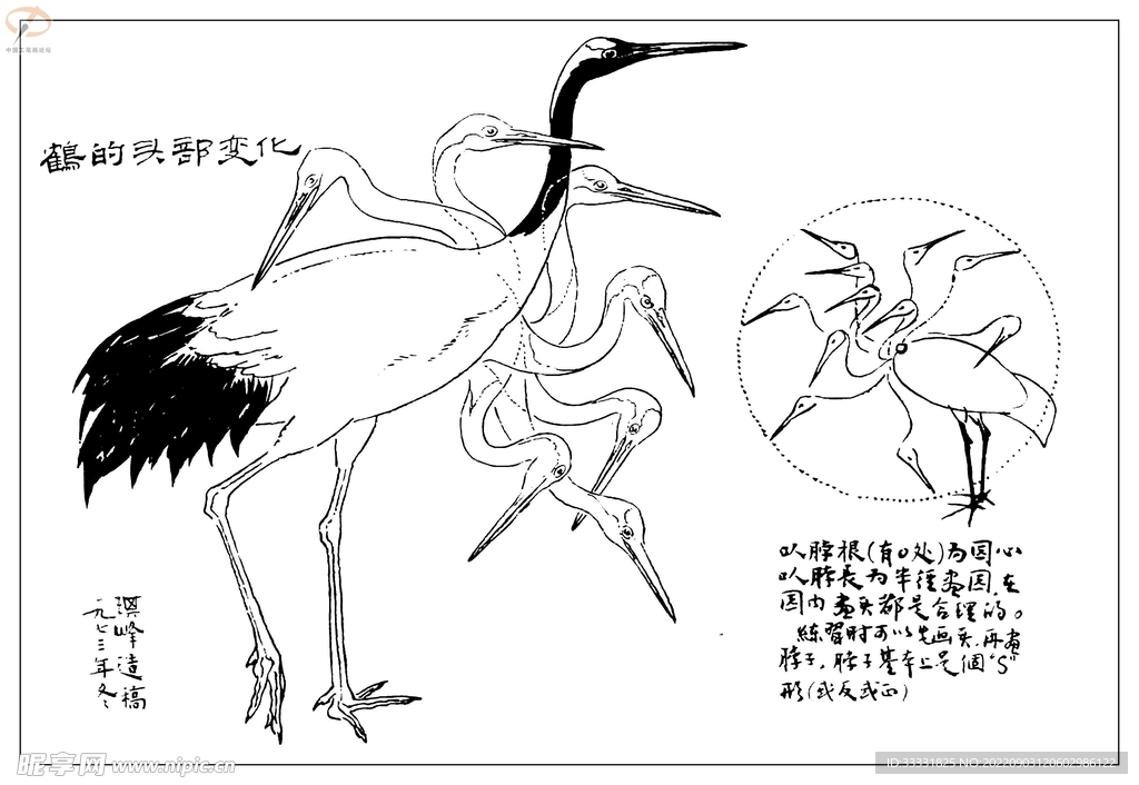 白描鸟