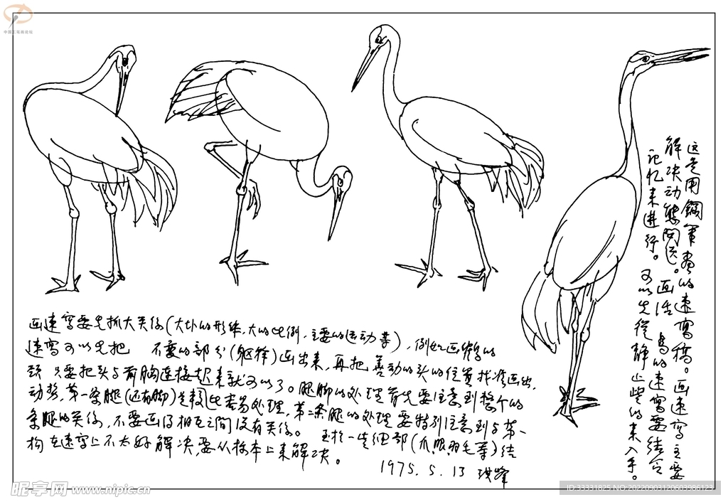 白描鸟