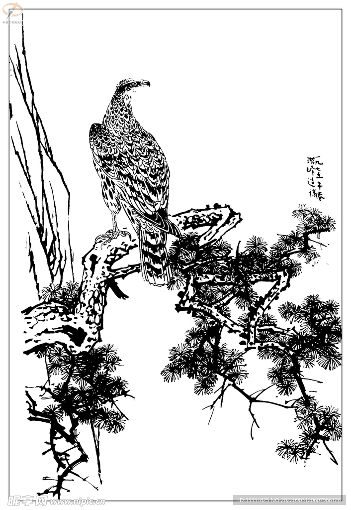 白描鸟