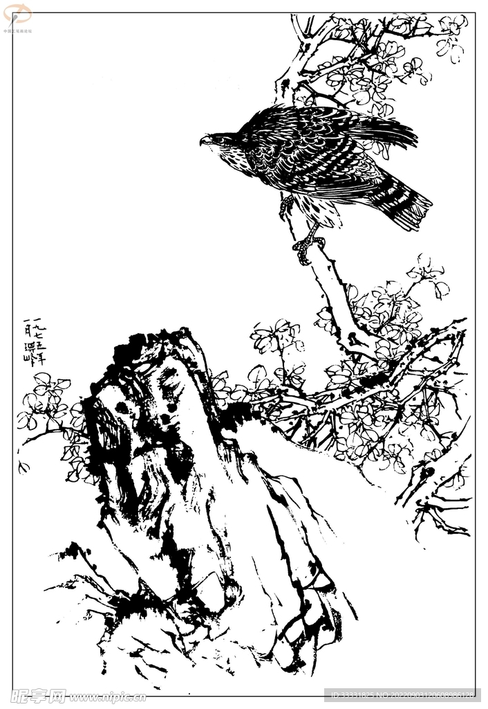 白描鸟