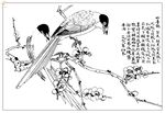 白描鸟