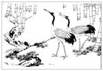 白描鸟