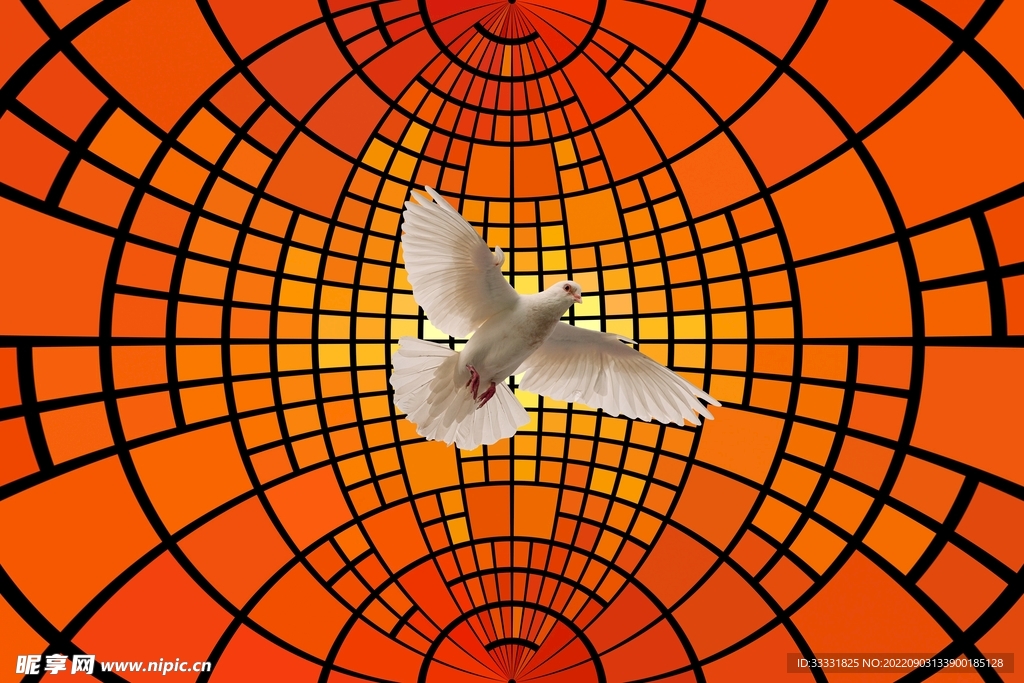 鸽子
