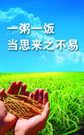 食堂标语