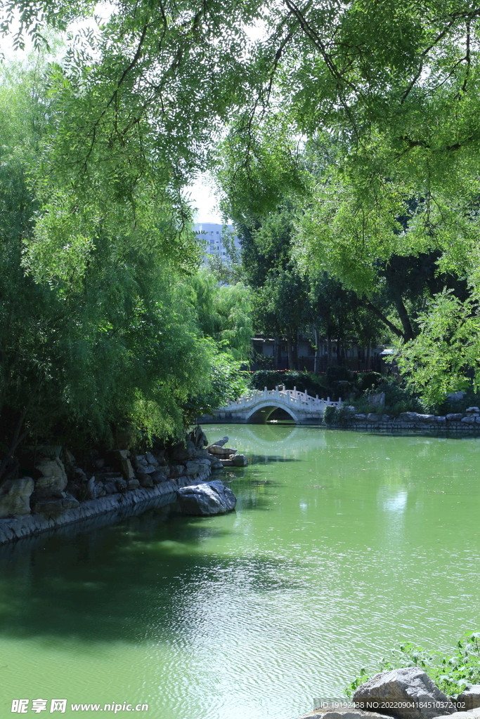 公园风景