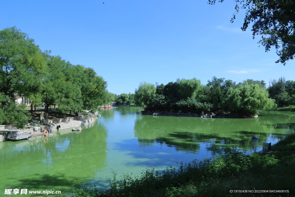 公园风景