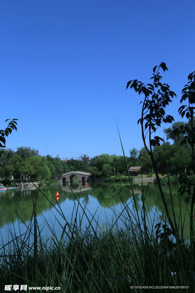 龙潭中湖风景 