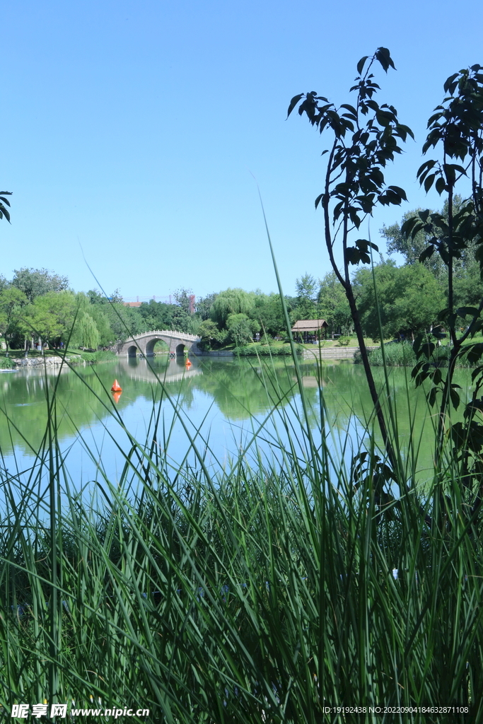 园林风景