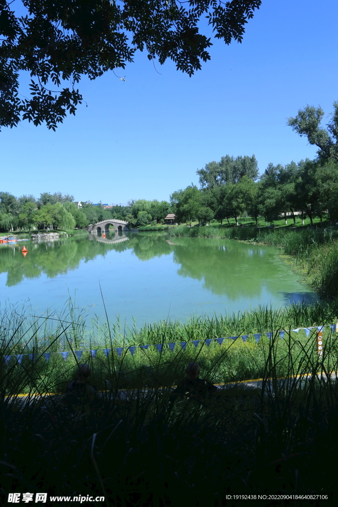 湖水风景 