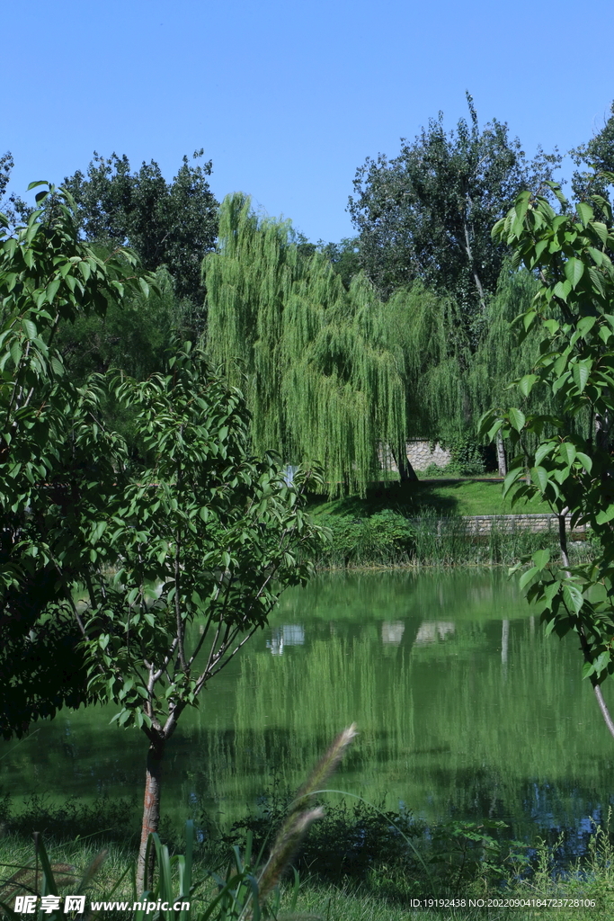公园风景