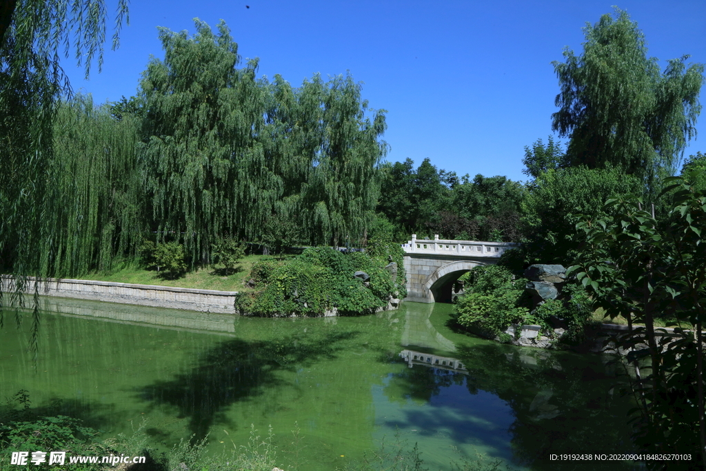 公园风景