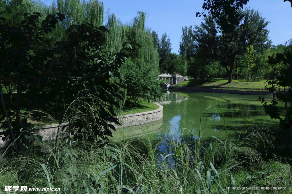 公园风景 