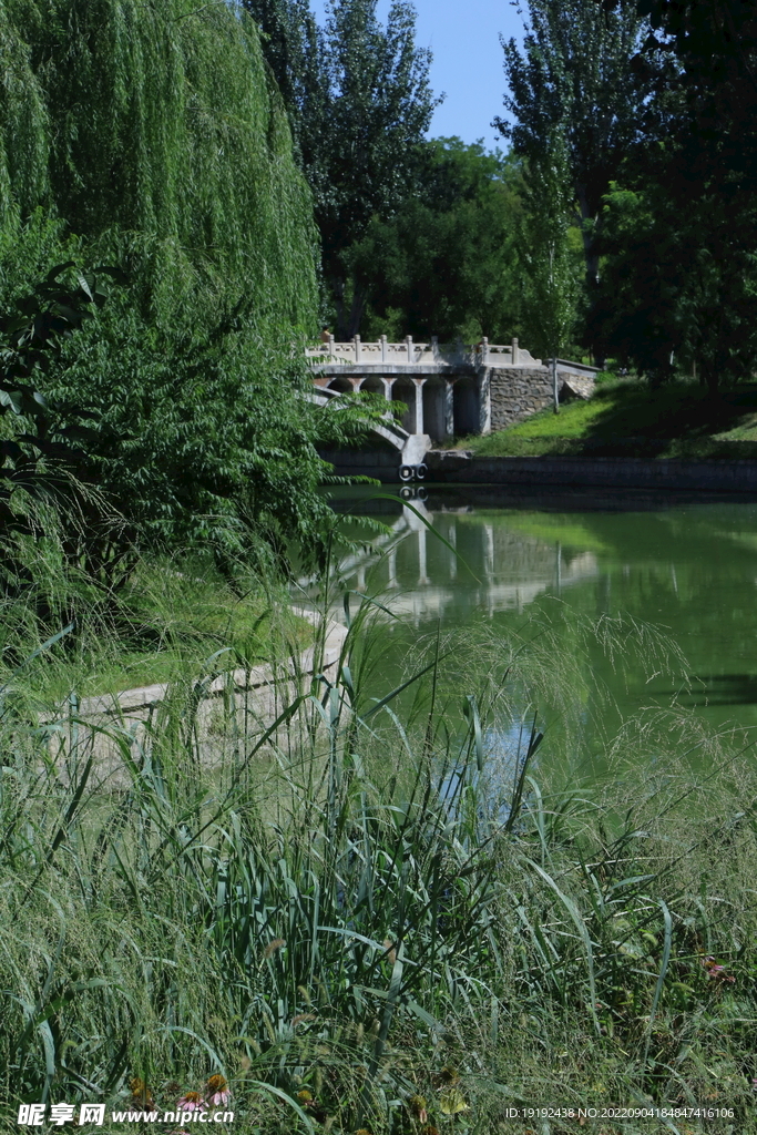 公园风景