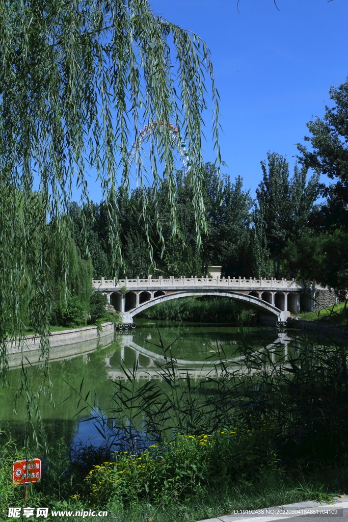 公园风景