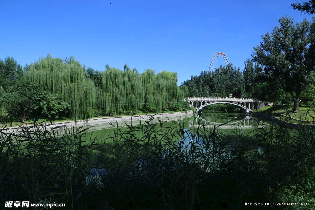 湖水风景 