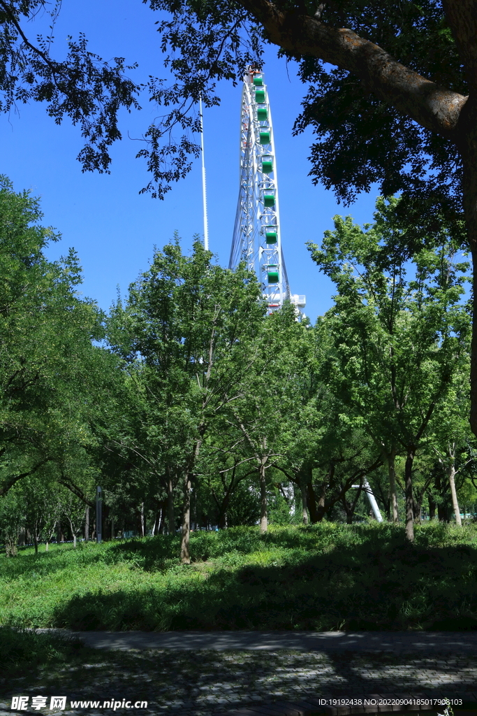 公园风景 