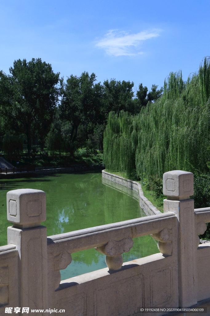 公园风景