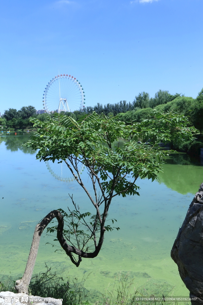 湖水风景 