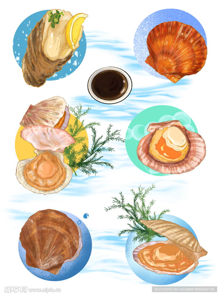 贝壳手绘插画
