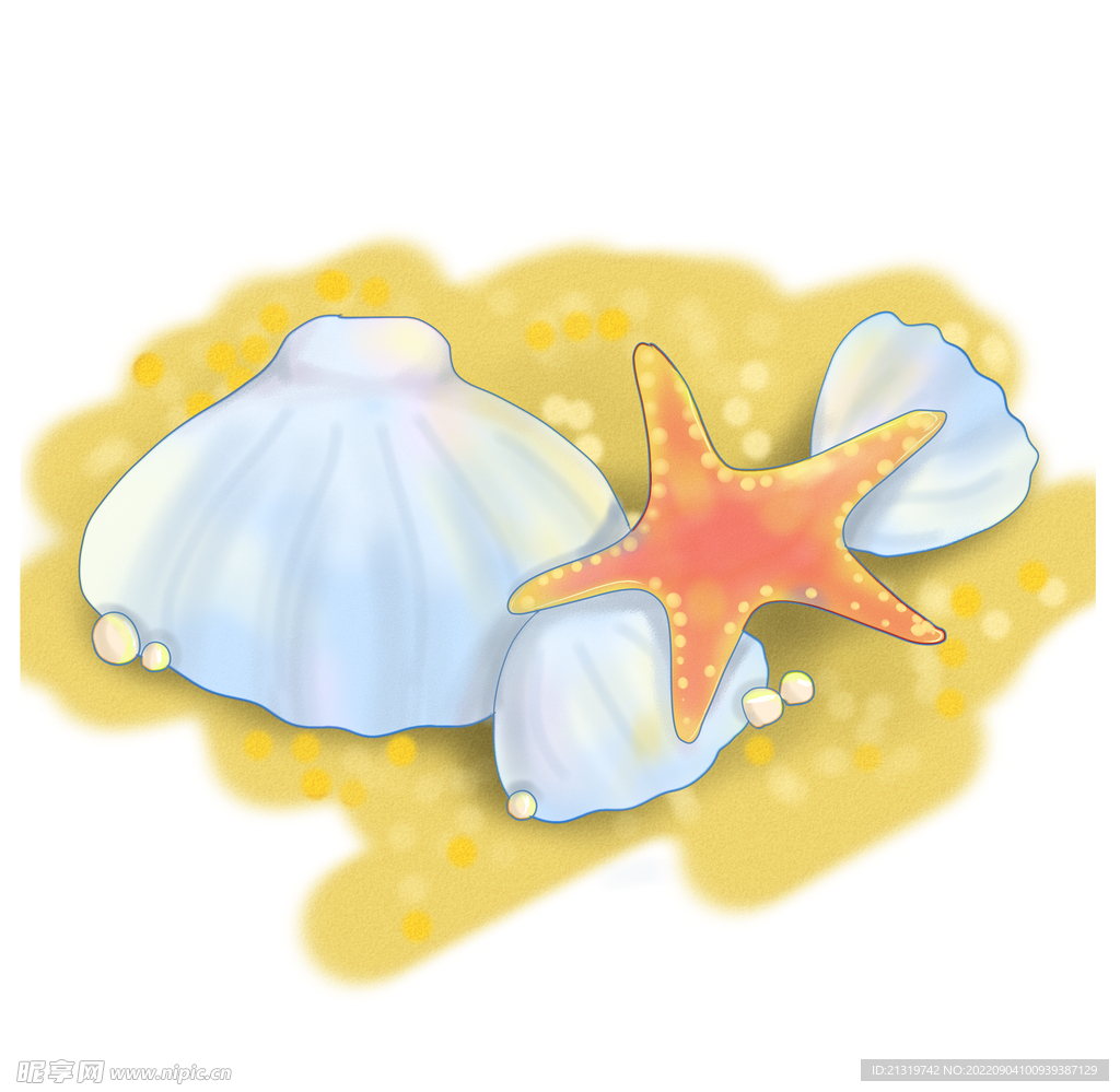 贝壳插画素材