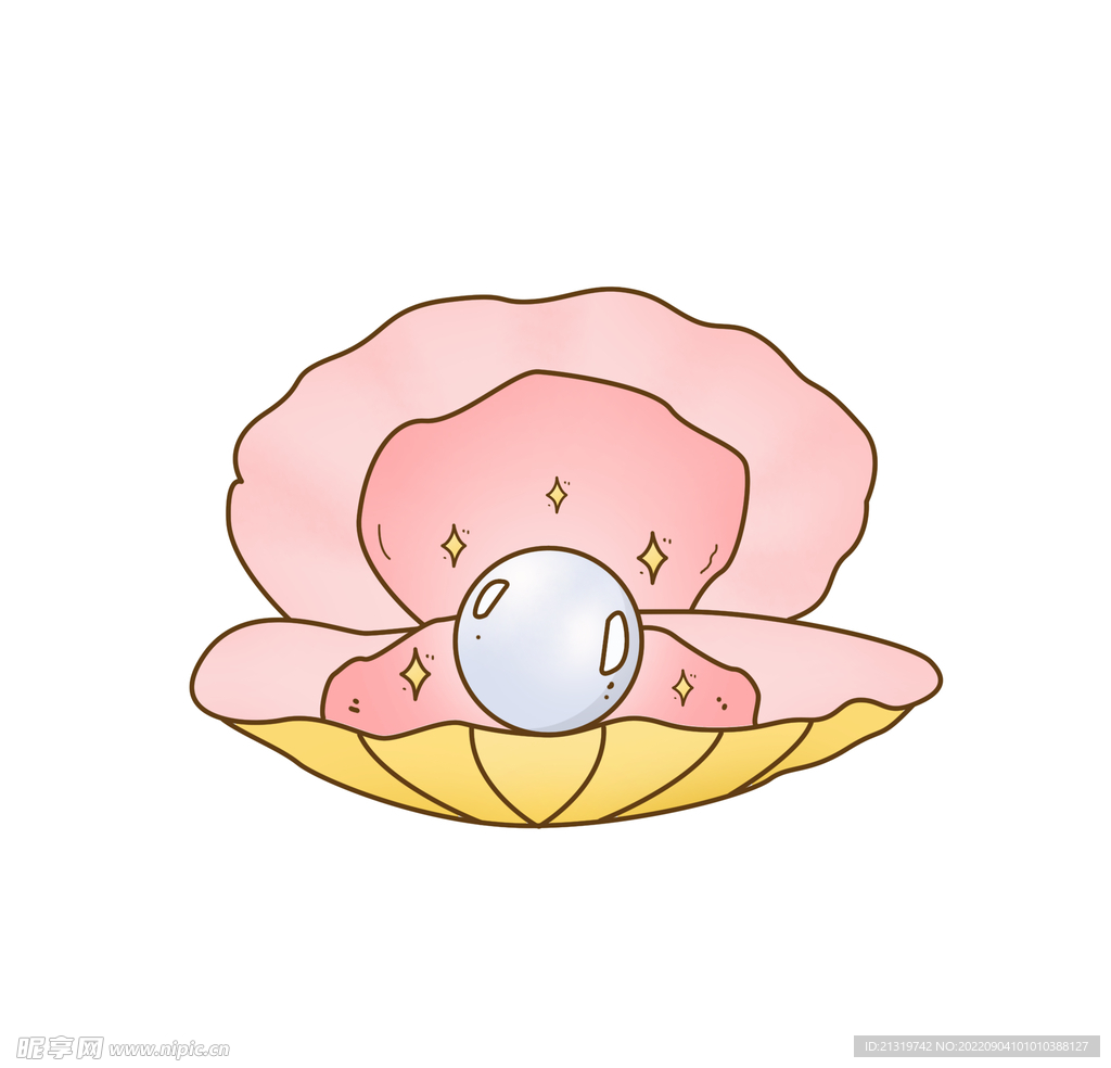 贝壳插画