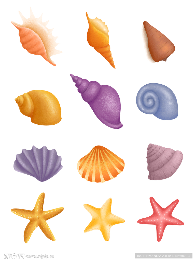 贝壳卡通插画