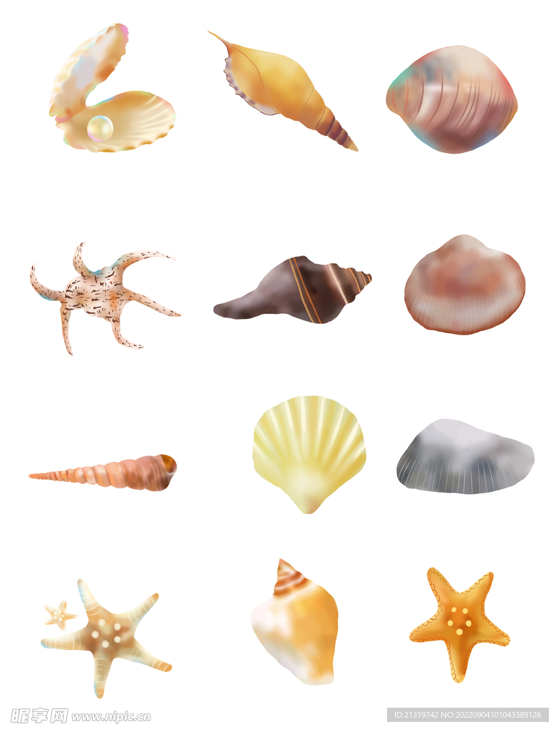 卡通贝壳海星