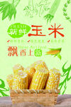 玉米