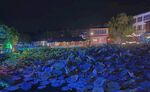 荷塘夜景