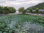 民宿度假村