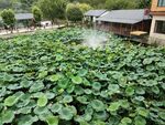 民宿度假村