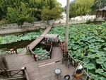 民宿度假村