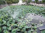 民宿度假村