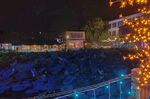 荷塘夜景