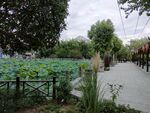 民宿度假村