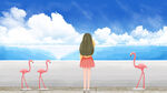 小清新简约创意海报图片