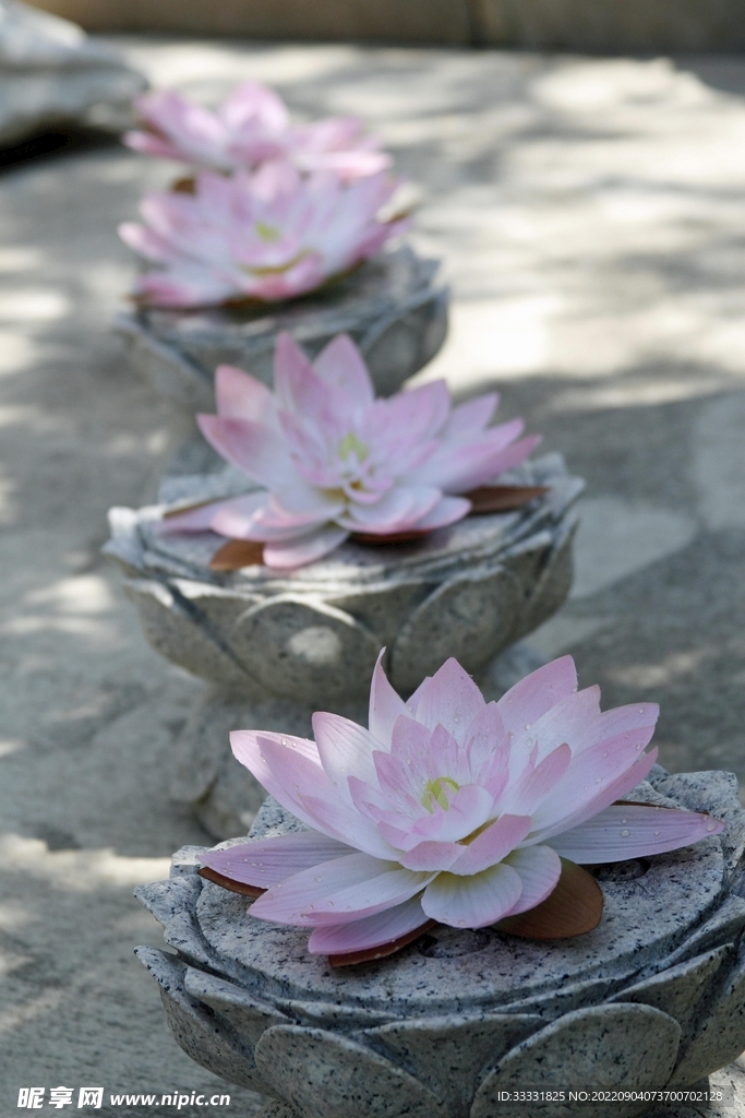 莲花