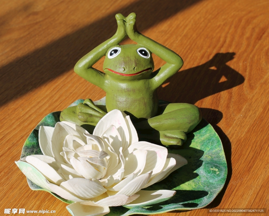 莲花