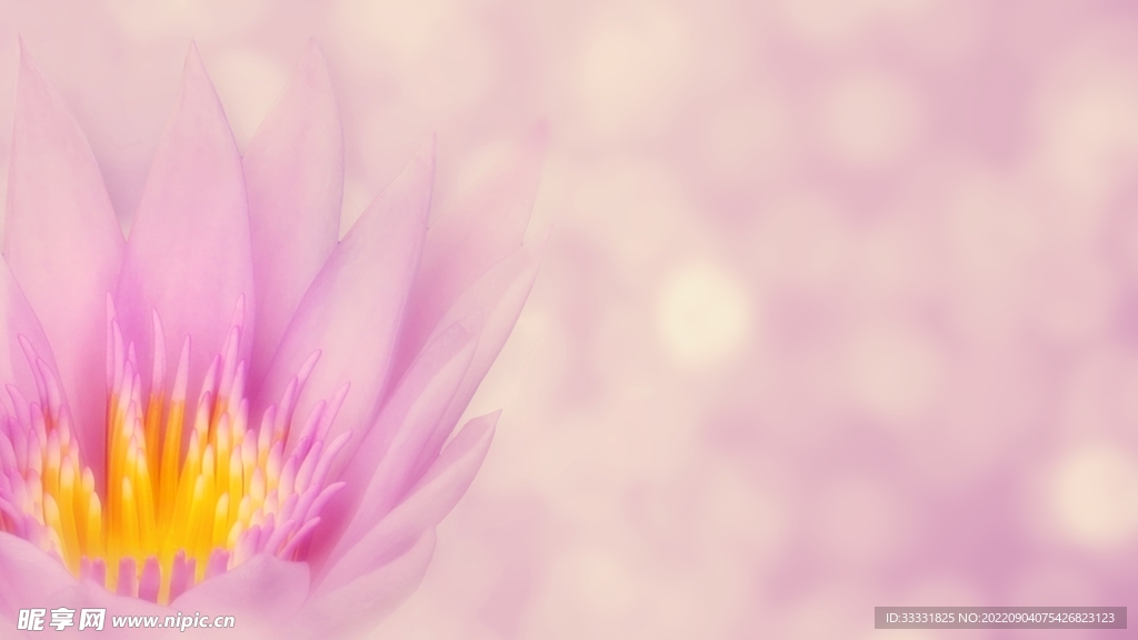 莲花