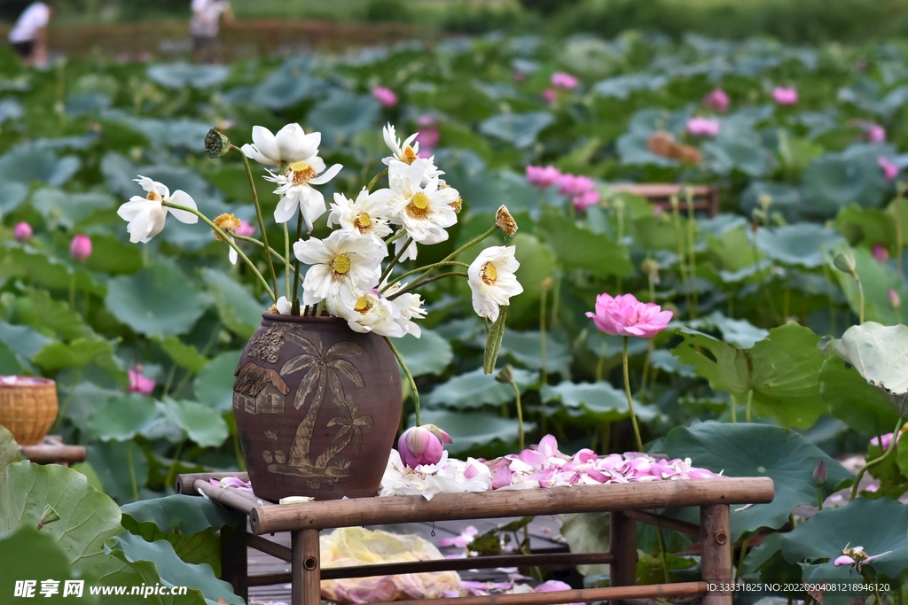 莲花
