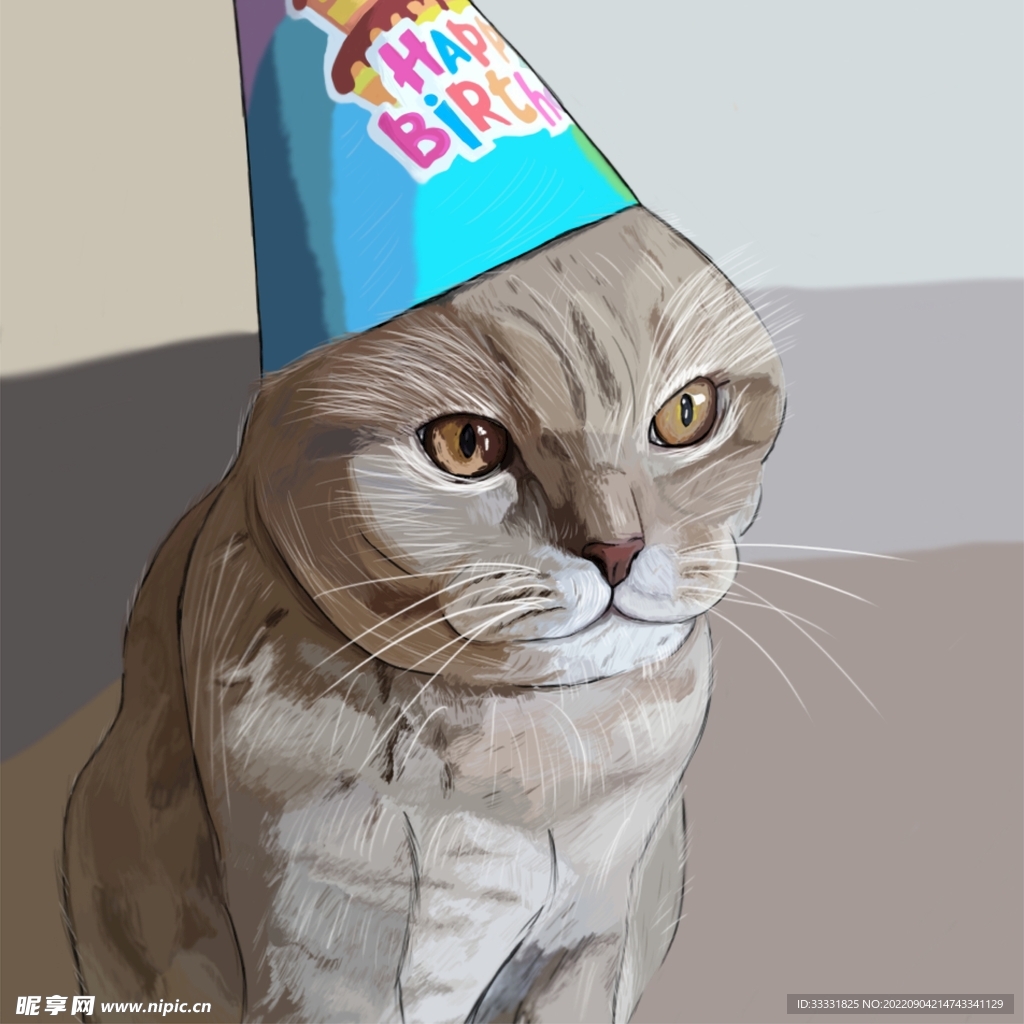 猫