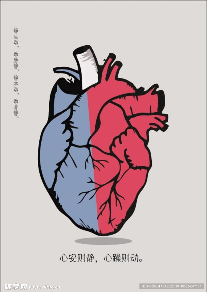 心脏静心
