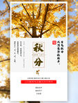 秋分海报 二十四节气 传统文化