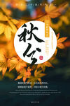 秋分海报 二十四节气 传统文化