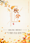 秋分海报 二十四节气 传统文化