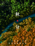 秋分海报 二十四节气 传统文化